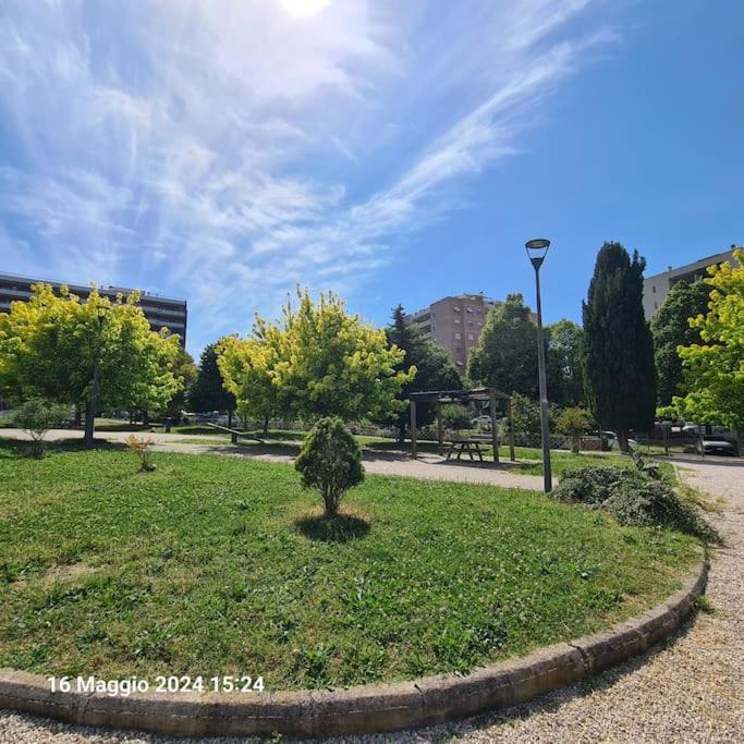 Domus Vincentis Eur -space&light - Center In 20min Appartamento